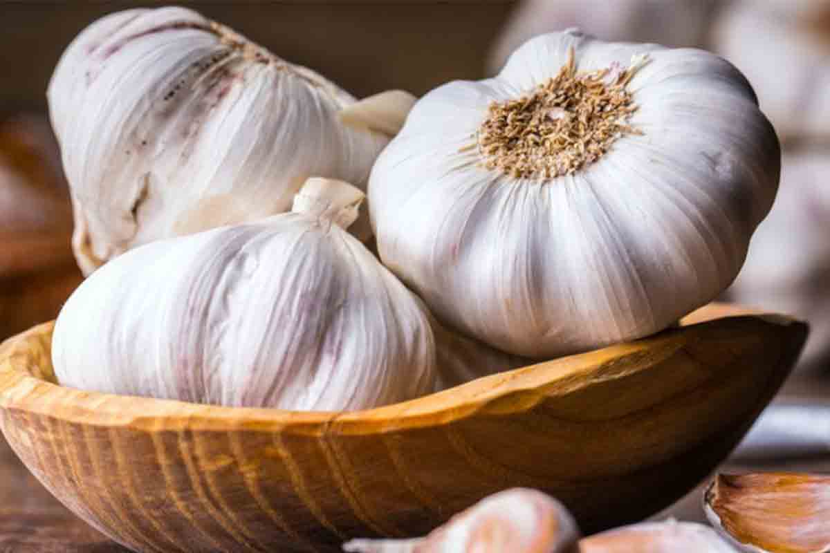 خریدارن سیر در عراق 