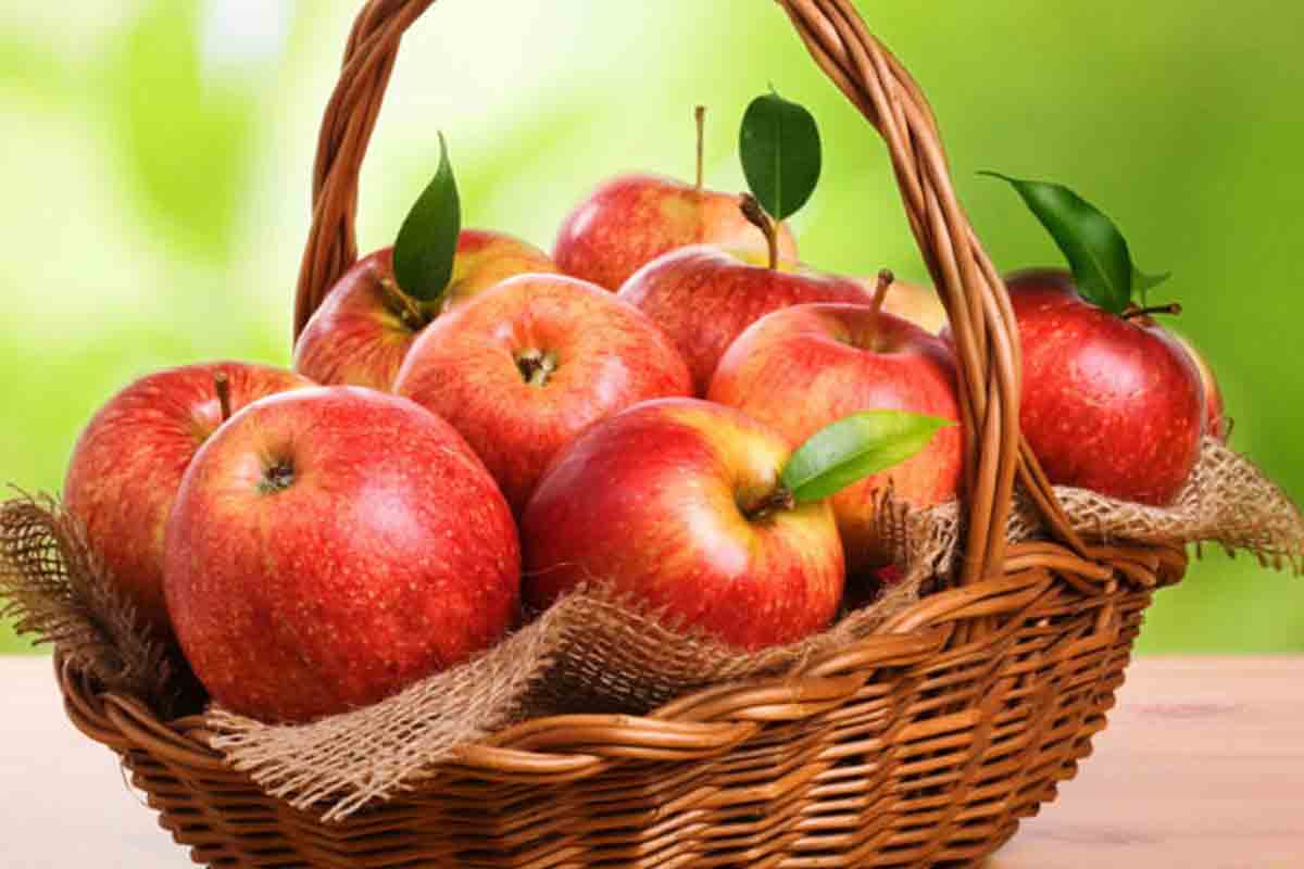 صادرات سیب به عراق